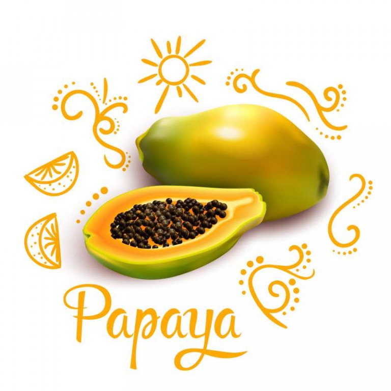 Papaya health benefits A Fruit with Nourishing Pulp inside