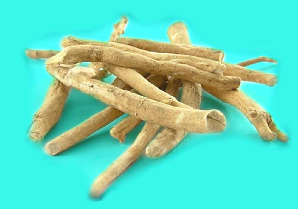Ashwagandha for immunity and Stamina