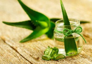 aloe vera benefits