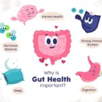 Improve Gut Health