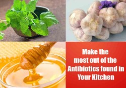 Make the Most of the Antibiotics from your Kitchen !