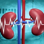 Two Lakh People Require Kidney Every Year