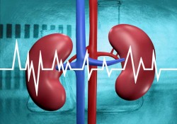 Two Lakh People Require Kidney Every Year