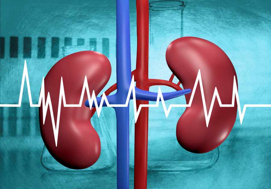 Kidney Function Test in Lajpat Nagar