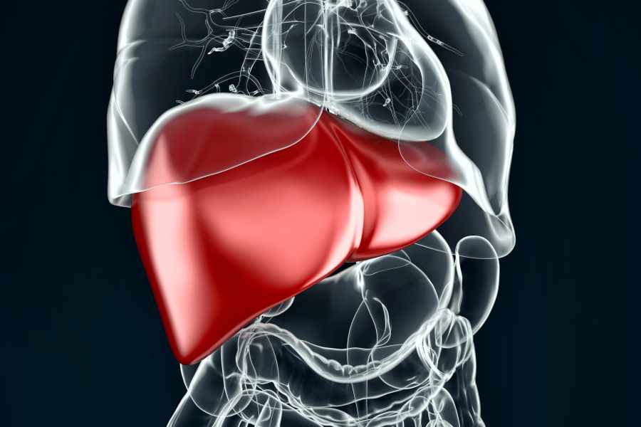 What Causes Liver Disorders? Book Liver Function Test in Vasant Kunj