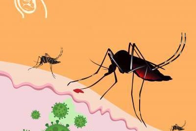 Home Remedies for Chikungunya
