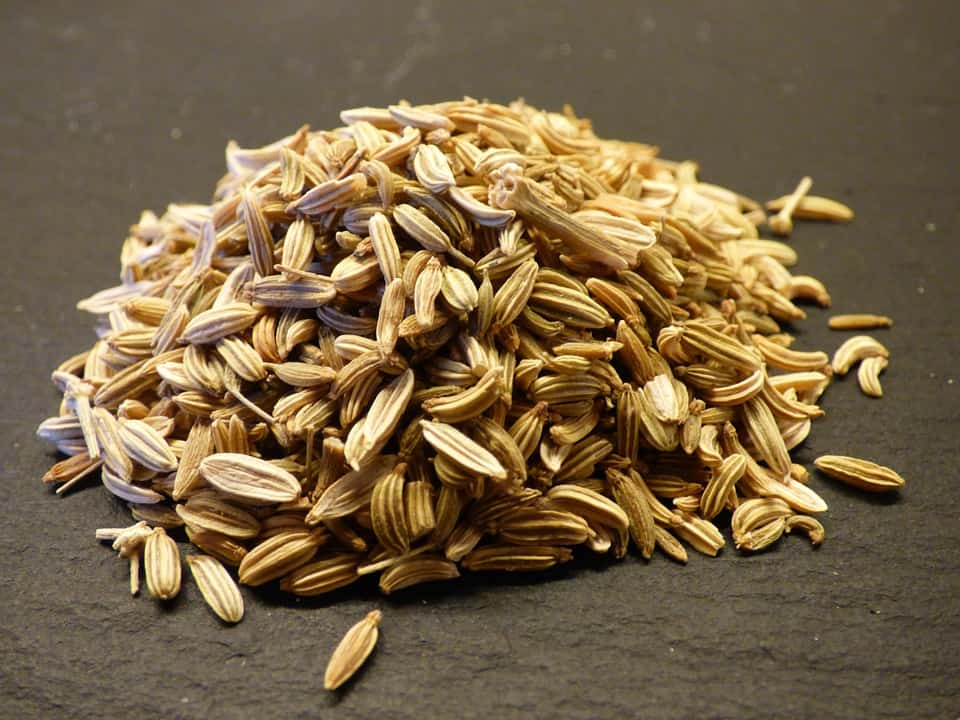 The Remarkable Health Benefits of Saunf (Fennel Seeds)