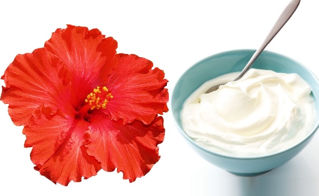 Yogurt-Hibiscus Leave and Coconut Oil
