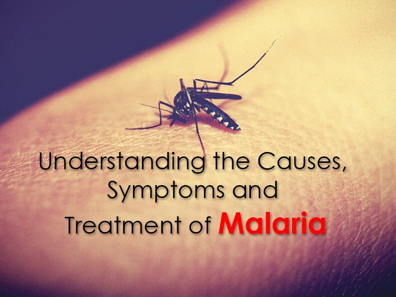 Treatment of Malaria