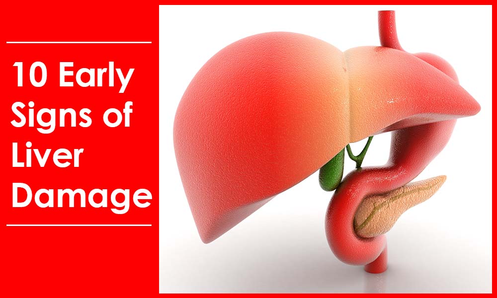 10 Early Signs of Liver Damage You Must Not Ignore