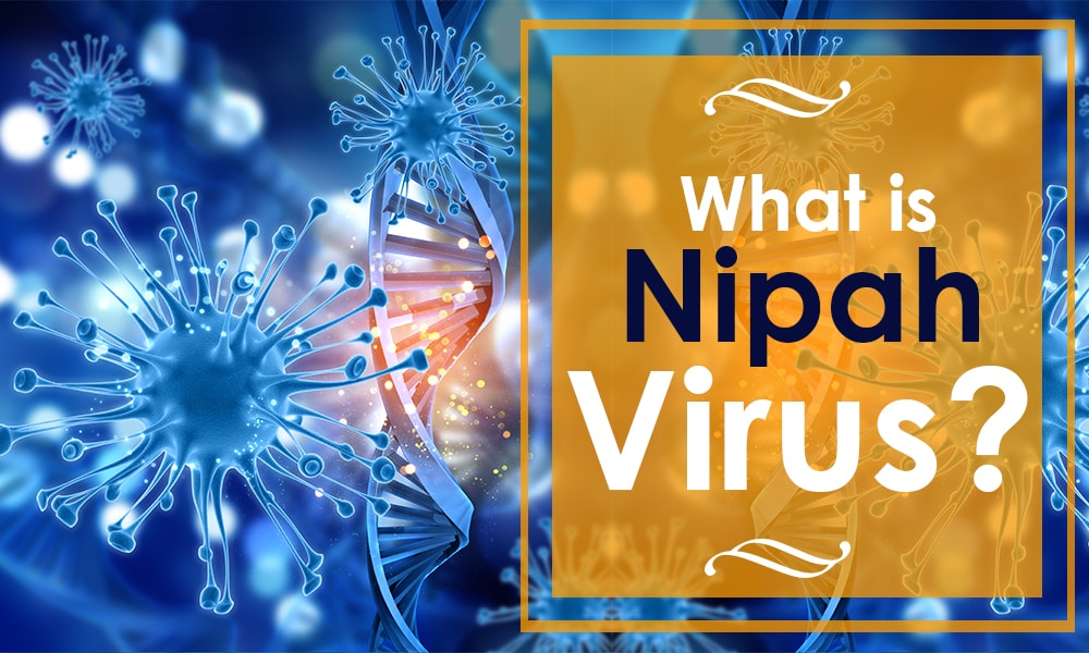 Nipah Virus