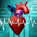 This new online calculator will help predict heart disease risk early