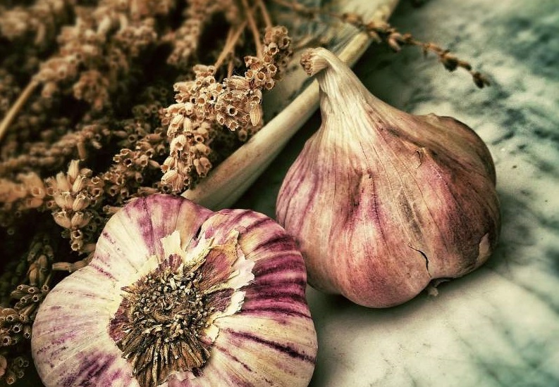 Garlic for Weight Loss