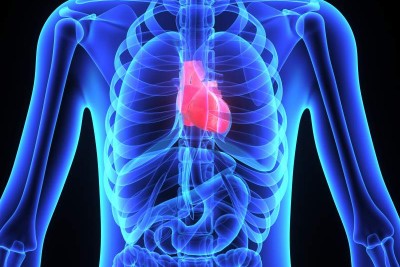 Tips to Keep your Liver Healthy