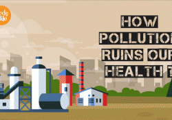 Handy Tips to Protect Yourself from Air Pollution