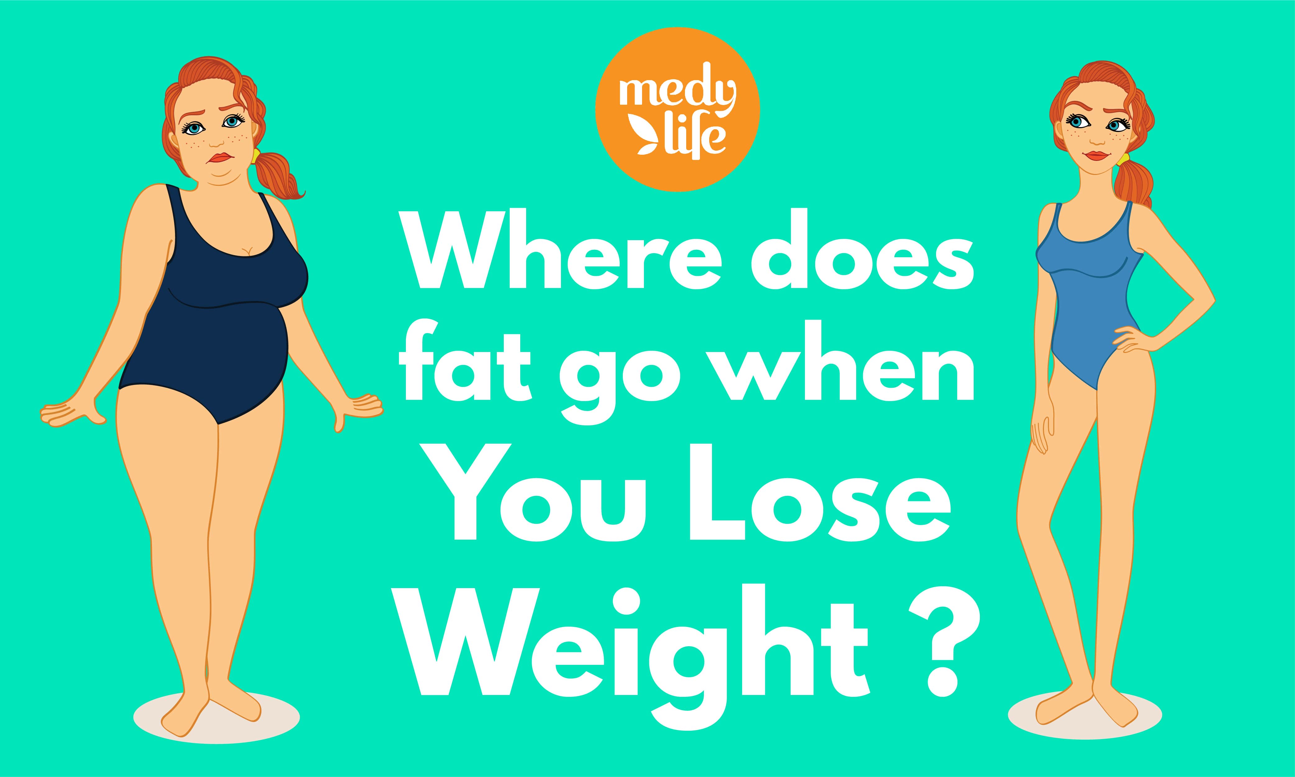 Where Does Fat Go When You Lose Weight?