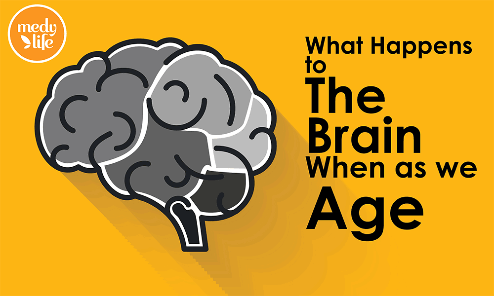 What happens to the Brain as we Age?