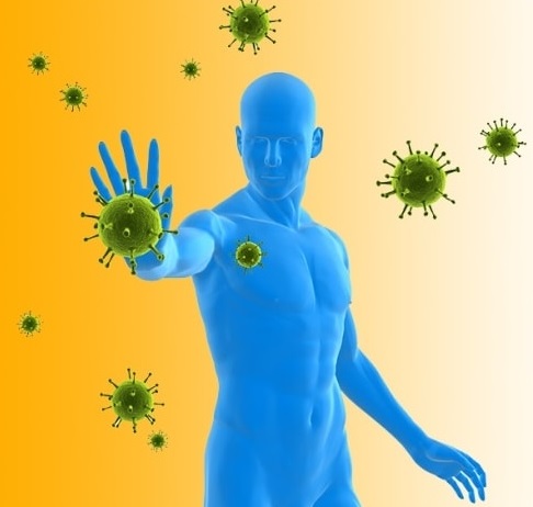 Surprising Things that can affect your Immune System