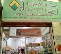 The Green Leaf Shop No-12A, Lower Ground Floor, Aashirwad Complex, Sector 53, Noida