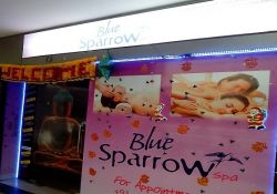 Blue Sparrow Spa- Kaushambi 18/2, 2nd Floor, EDM Mall, Near Anand Vihar, Kaushambi, Ghaziabad