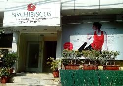 Spa Hibiscus- Mayur Vihar 58, 10th Street Pratap Nagar, Mayur Vihar Phase 1, New Delhi