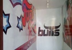 The Bulls Gym