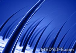 The Body Care- Faridabad