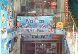 Wet-Pets Fish & Aquarium World K-62, Chhachhi Building, Krishna Nagar, New Delhi