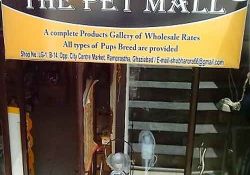 The Pet Mall- Ramprastha Shop No LG-1, B-14, Opp. City Centre Market, Ramprastha, Ghaziabad