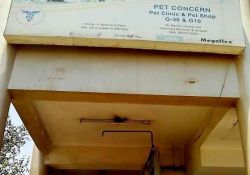 Pet Concern Pet Clinic & Pet Shop G-3 & G-10, Krishna Apra Park Plaza, Alpha 2, Greater Noida