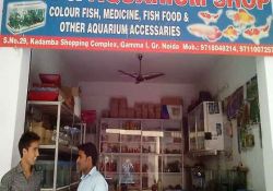 Fish & Aquarium Shop No-29, Kadamba Shopping Complex, Gamma 1, Greater Noida