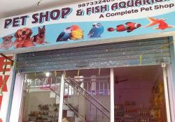 Pet Shop Shop No-4, B J Place, Behind Airtel Office, Gamma 1, Jagat Farm, Greater Noida