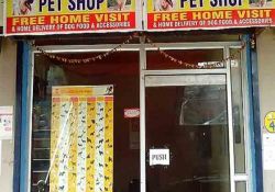 Chandra Dog Clinic & Pet Shop LGF, Reliance Plaza, Sector-4 B, Vasundhara, Ghaziabad